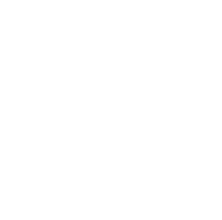 sultan-foundation-logo